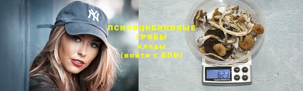 прущие грибы Алексин