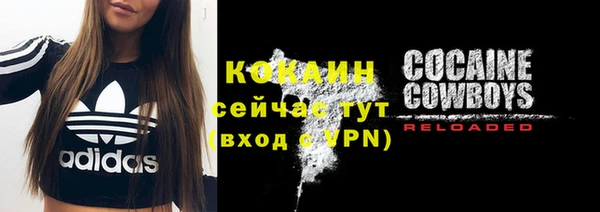 ПСИЛОЦИБИНОВЫЕ ГРИБЫ Елабуга