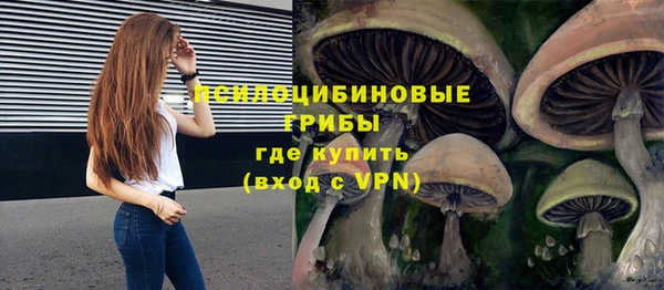 каннабис Алексеевка