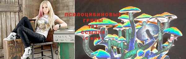 эйфоретик Алзамай