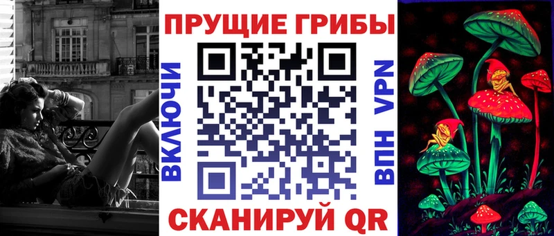 Галлюциногенные грибы Psilocybine cubensis  МЕГА зеркало  Махачкала  купить закладку 