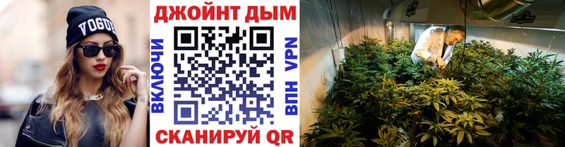 как найти закладки  Махачкала  Каннабис план 